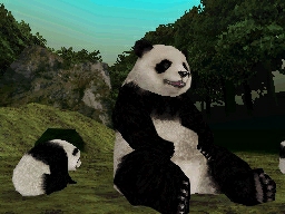 Animalz: Mis Amigos los Pandaz